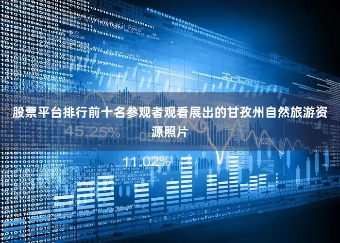 股票平台排行前十名参观者观看展出的甘孜州自然旅游资源照片