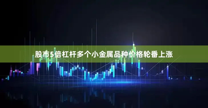 股市5倍杠杆多个小金属品种价格轮番上涨