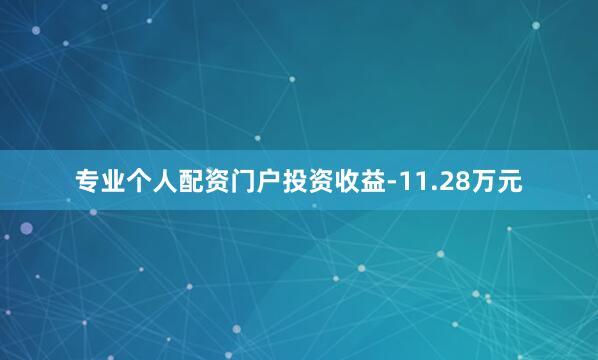 专业个人配资门户投资收益-11.28万元
