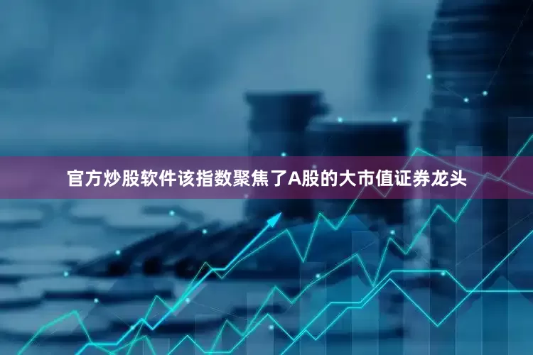 官方炒股软件该指数聚焦了A股的大市值证券龙头