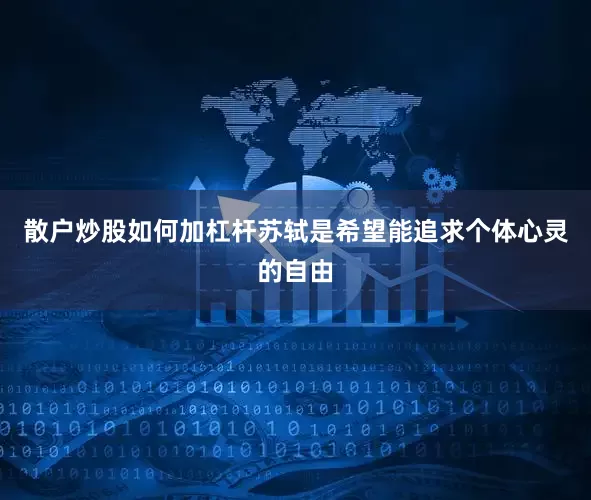 散户炒股如何加杠杆苏轼是希望能追求个体心灵的自由