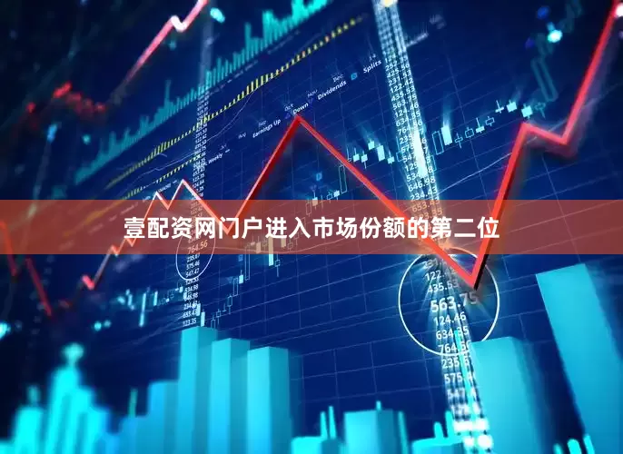 壹配资网门户进入市场份额的第二位