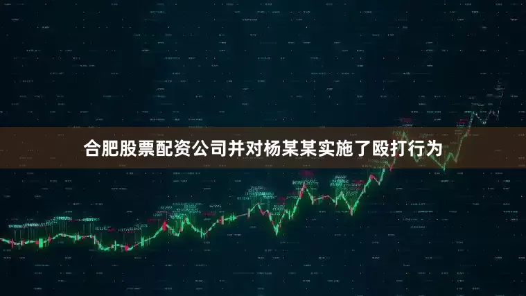 合肥股票配资公司并对杨某某实施了殴打行为