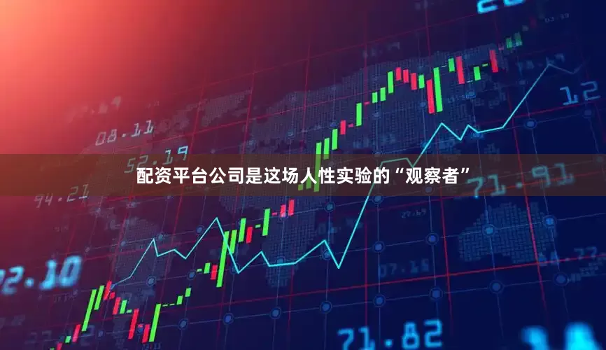 配资平台公司是这场人性实验的“观察者”