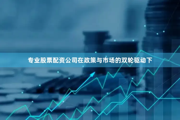 专业股票配资公司在政策与市场的双轮驱动下
