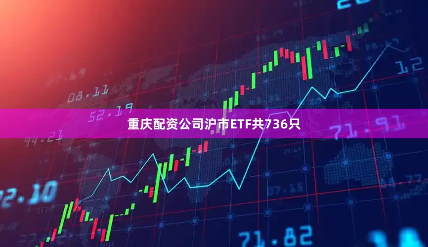 重庆配资公司沪市ETF共736只